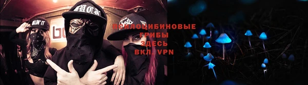 дурь Володарск